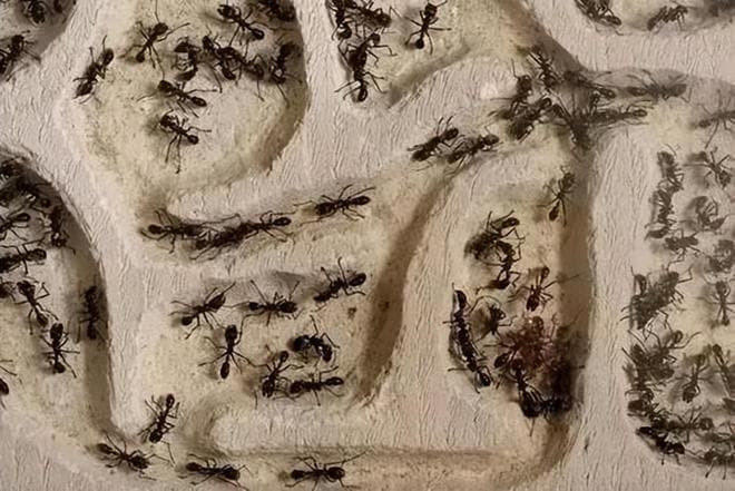 有没有一种可能，人类被高维度的生物操控，我们生活在虚拟世界？