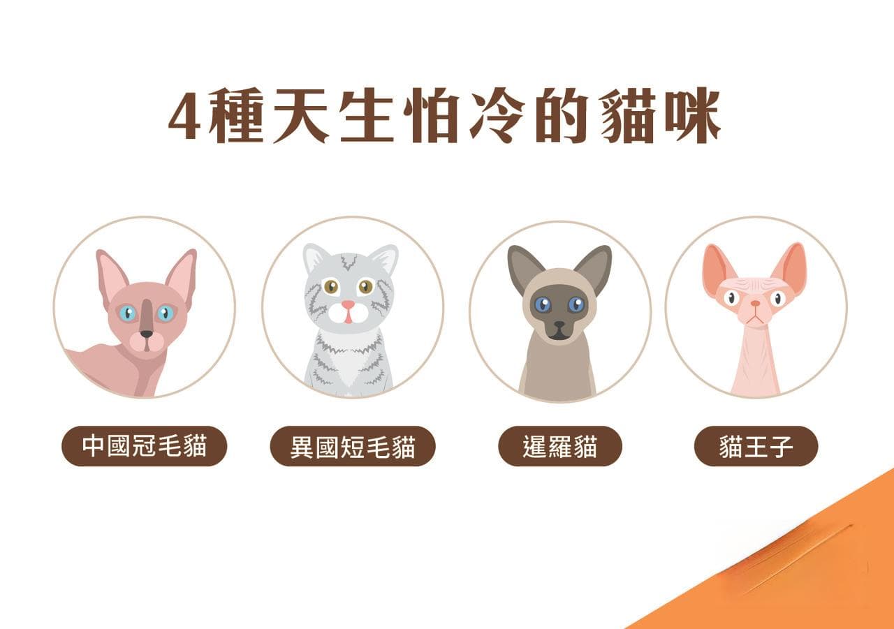 冬季宠物六大高发疾病及护理指南