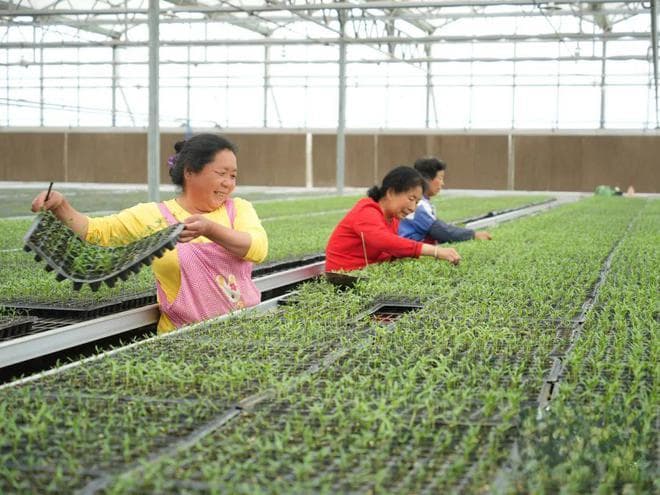 增效、增收、增绿！陕西咸阳推动农业绿色发展