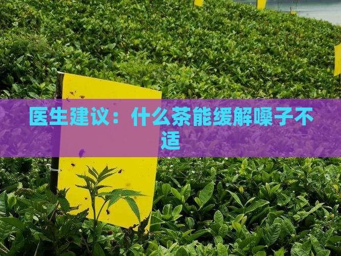 医生建议：什么茶能缓解嗓子不适