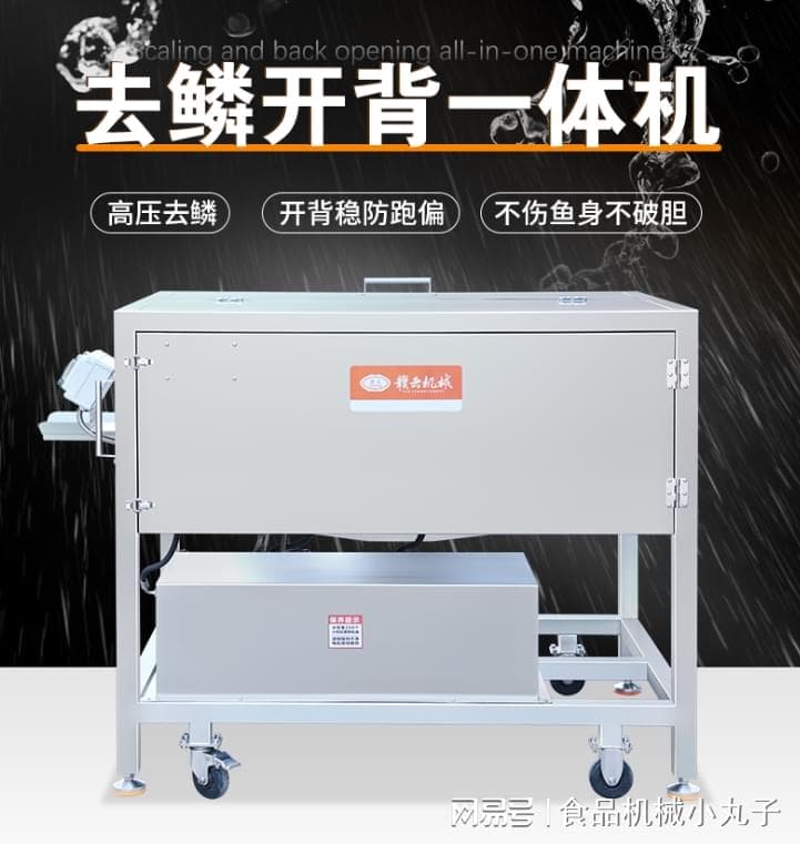 淡水鱼加工成鱼丸的工艺流程与设备详解