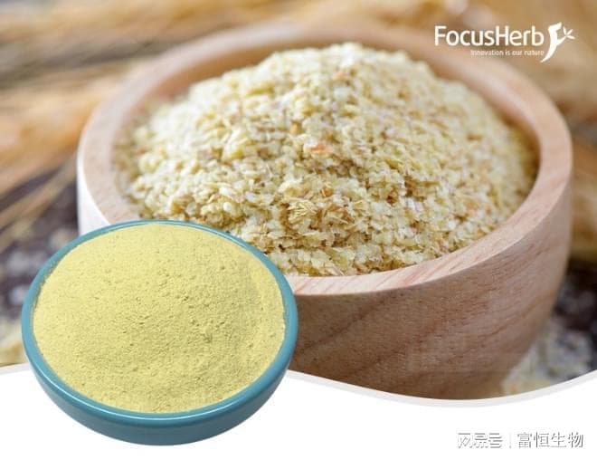 亚精胺促进细胞生长与增殖的机制