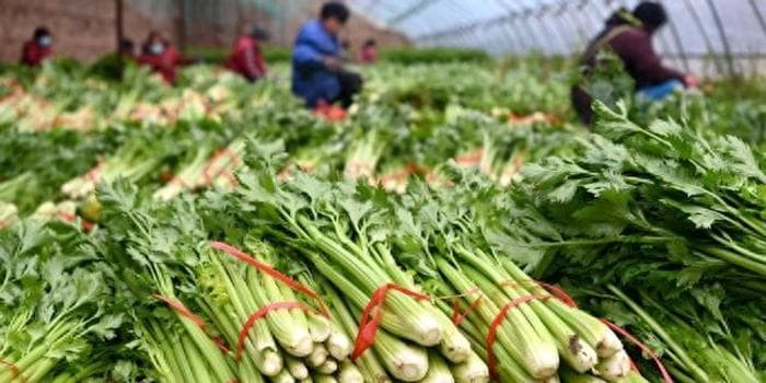 皮肤科医生：酱油、牛奶等食物不会影响肤色