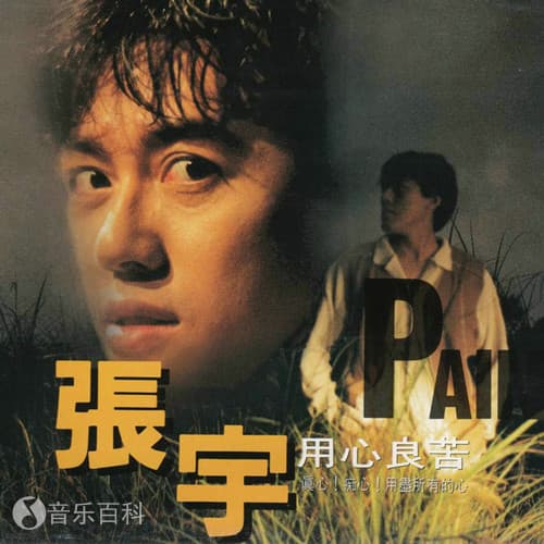 张宇《用心良苦》：一首经典情歌的诞生