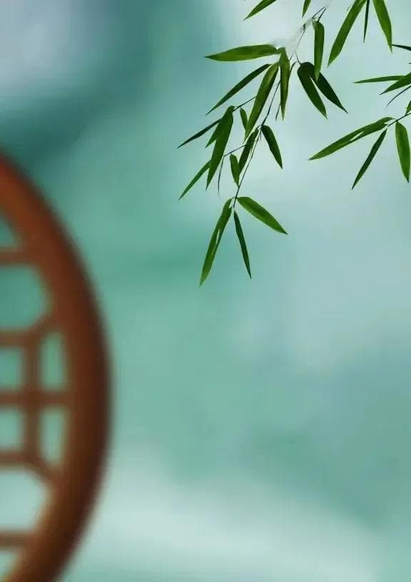 春季养生，养肝护阳