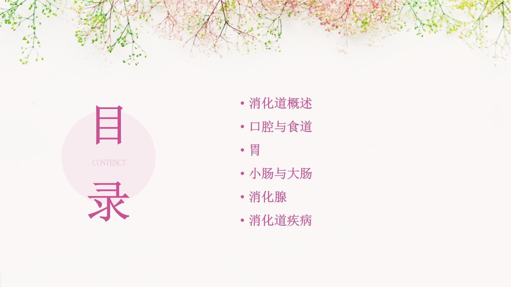 消化道胃肠生理解剖详解