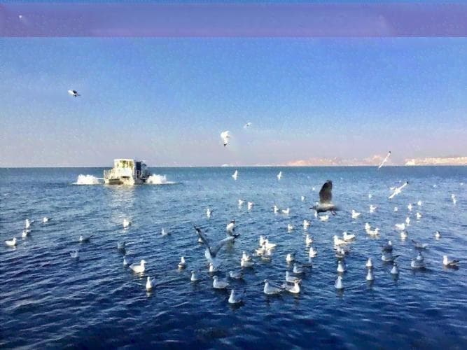 海南旅游优势深度分析：从资源到市场的全面解读