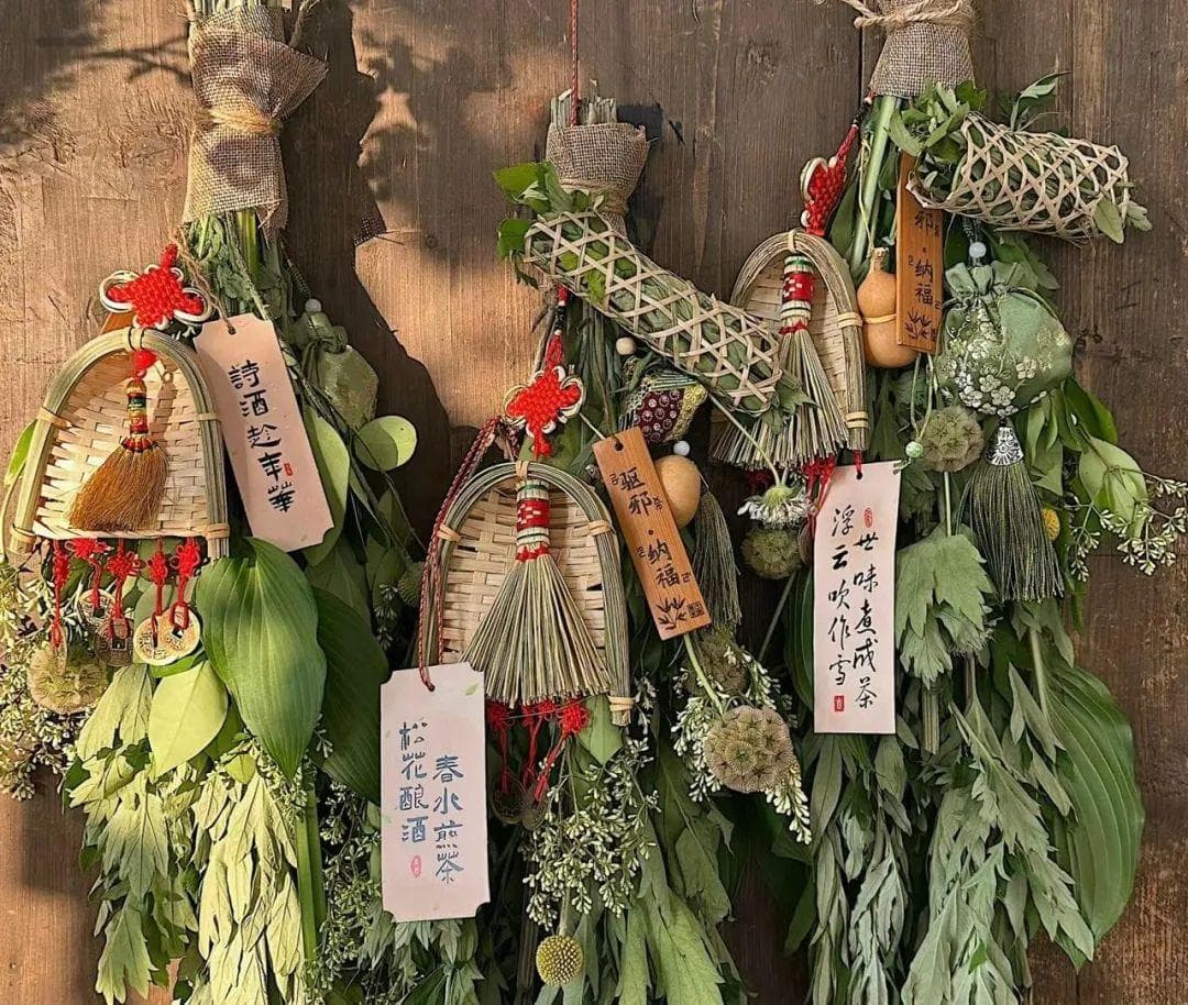 最美中药｜温经散寒，止血止痛的“百草之王”——艾叶