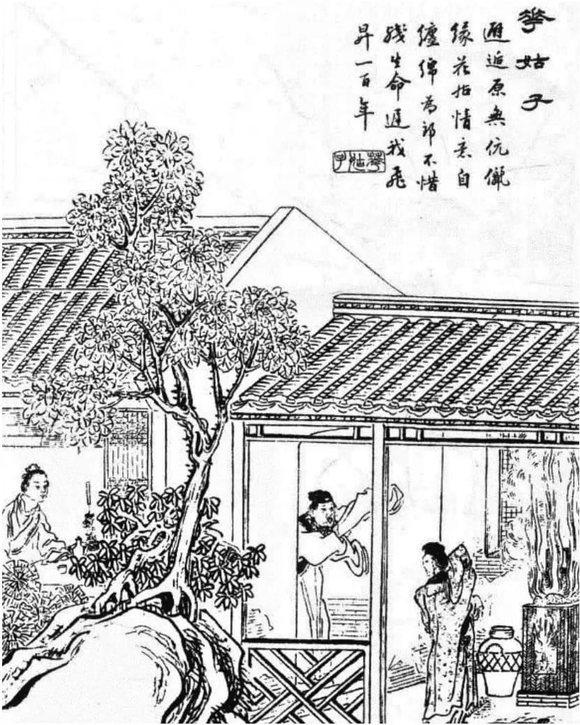 《聊斋志异》中“花姑子”的身份之谜