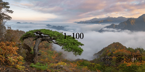 从1到100：数字认知与应用完全指南