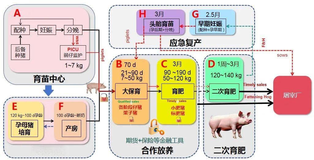 我国猪产业要素的重组调整及山东在生猪产业链融合方面的探索