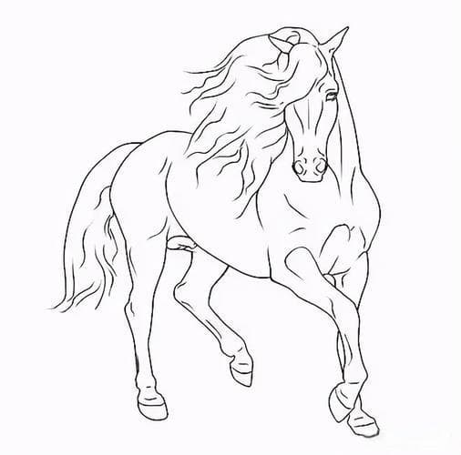 零基础小白：该怎么画画？从入门到进阶的绘画学习指南!