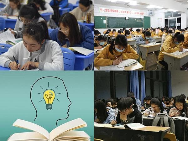 河南单招十大类专业详解：涵盖经济、工程、医学等领域的专业选择指南