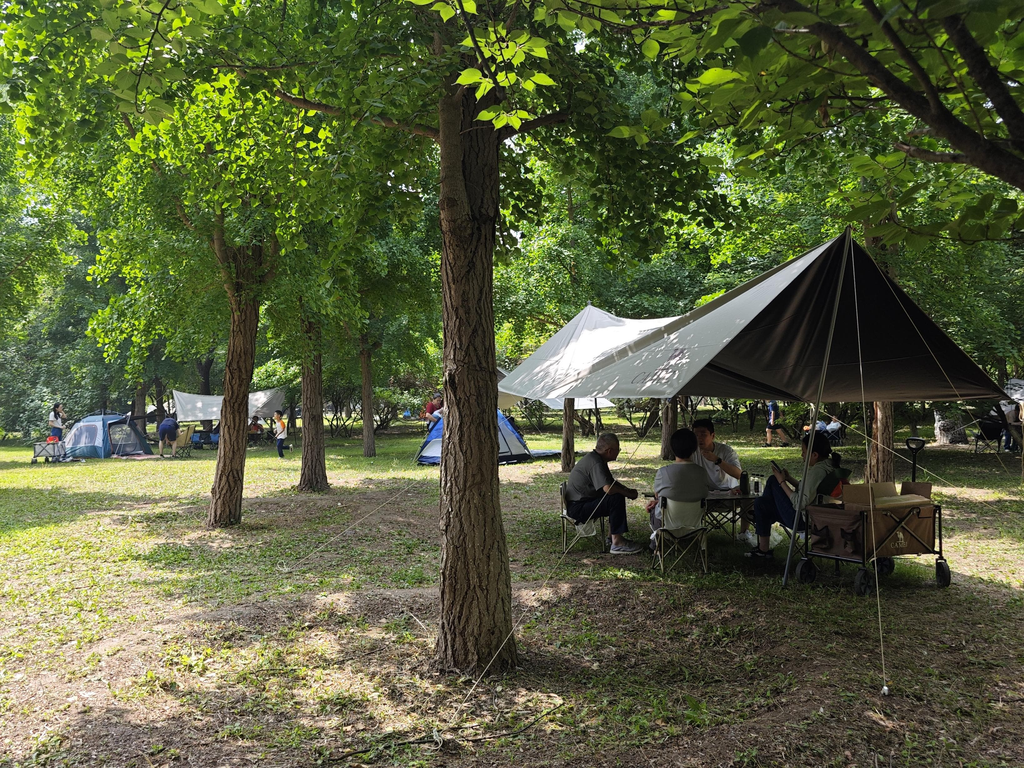 夏日聚会，户外“约帐篷”火了