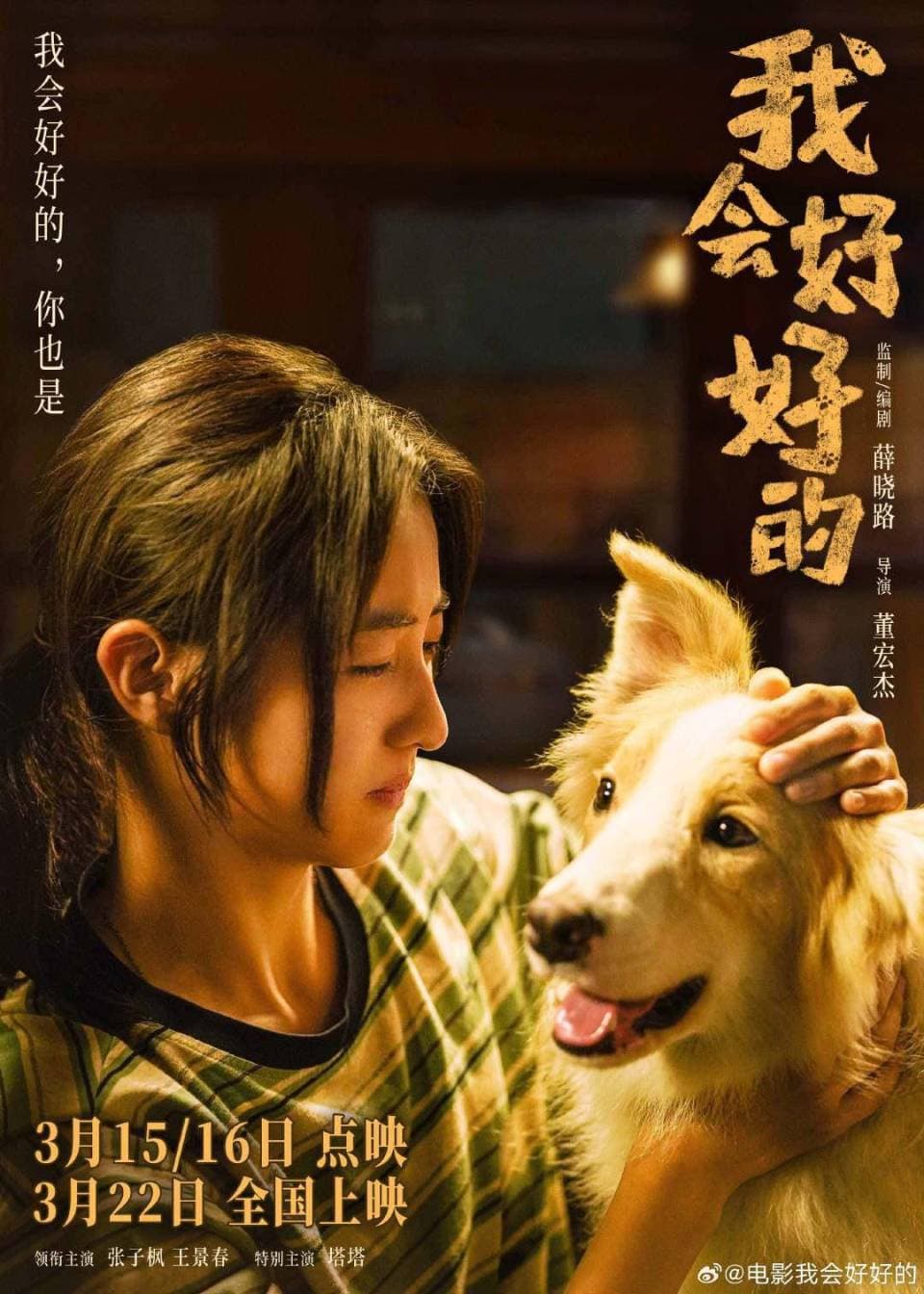 这个春天被一条小狗治愈，“明星+宠物”成宠物电影万能公式？