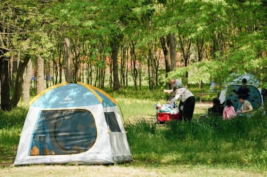 避开人潮，独享宁静 来上海这些"帐篷休憩"点位