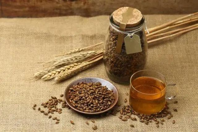 新手喝茶指南：如何选茶才能兼顾养胃？