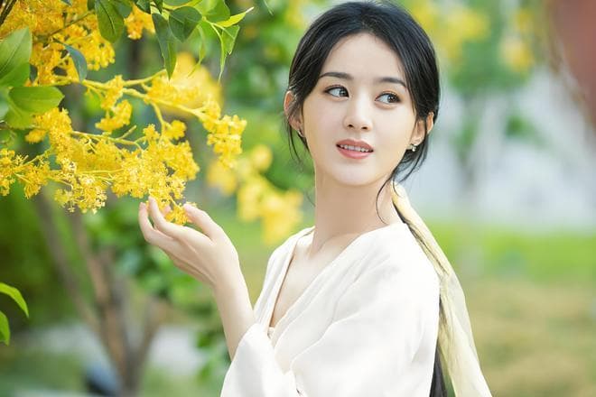 赵丽颖与杨紫：演技与实绩的较量，为何总被放在一起比较？