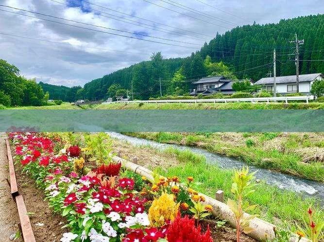 海南旅游攻略自由行更佳线路：海口至三沙市里程及特色推荐