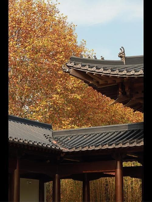 南宋祭祀礼仪：从战火中重塑政权正统性与合法性