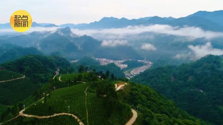 镇巴楮溪源：山川之美创4A，茶旅融合新画卷