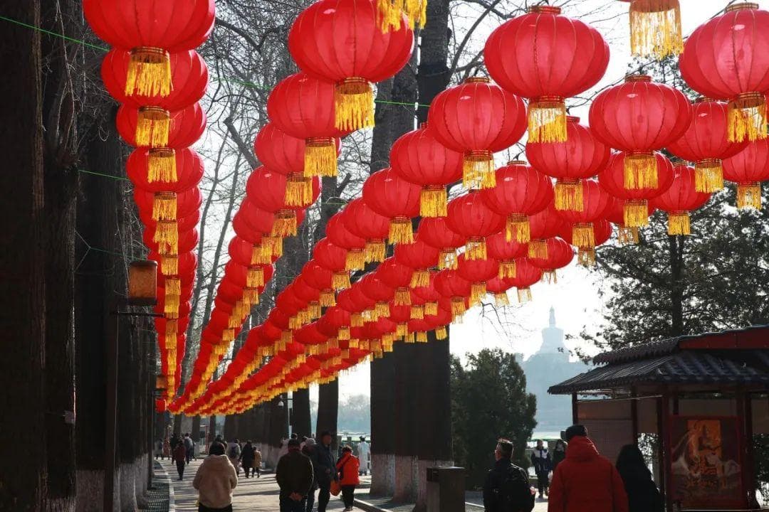 科普北海丨北海春韵-春节科普活动回顾集锦