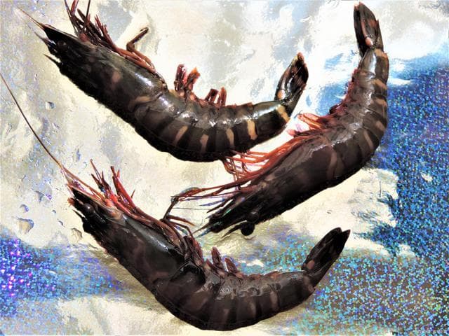 黑虎虾好还是基围虾？从口感和营养价值看两种海鲜的优劣