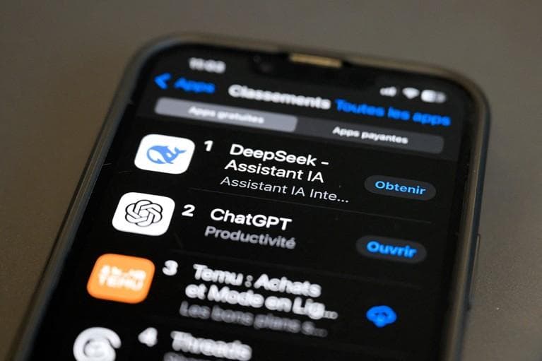《自然》：中国如何创建 AI 模型 DeepSeek 并震惊世界
