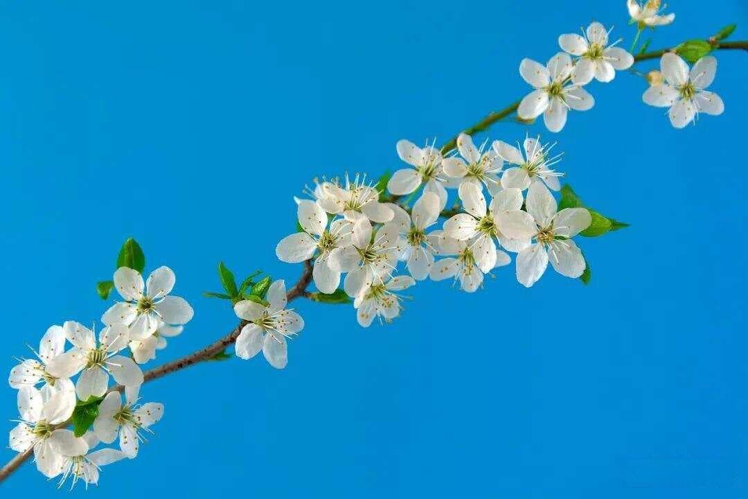 13种实用的作文过渡方法，让你的文章更连贯