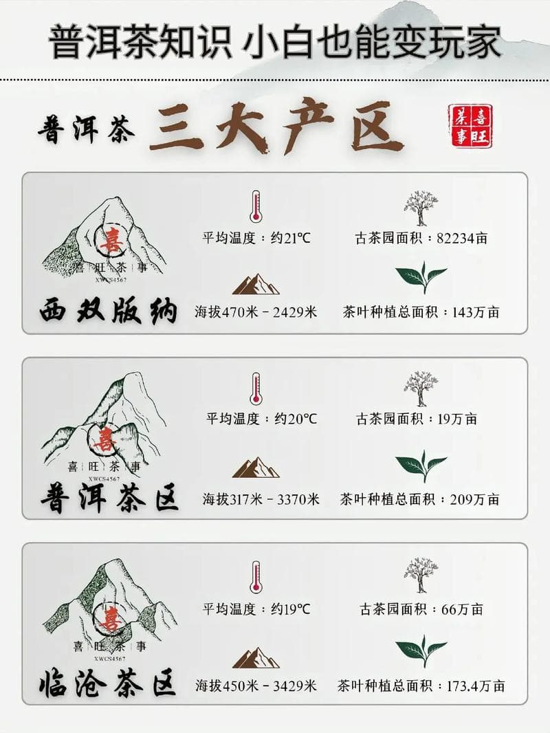 普洱茶的产地，历史与文化的交融