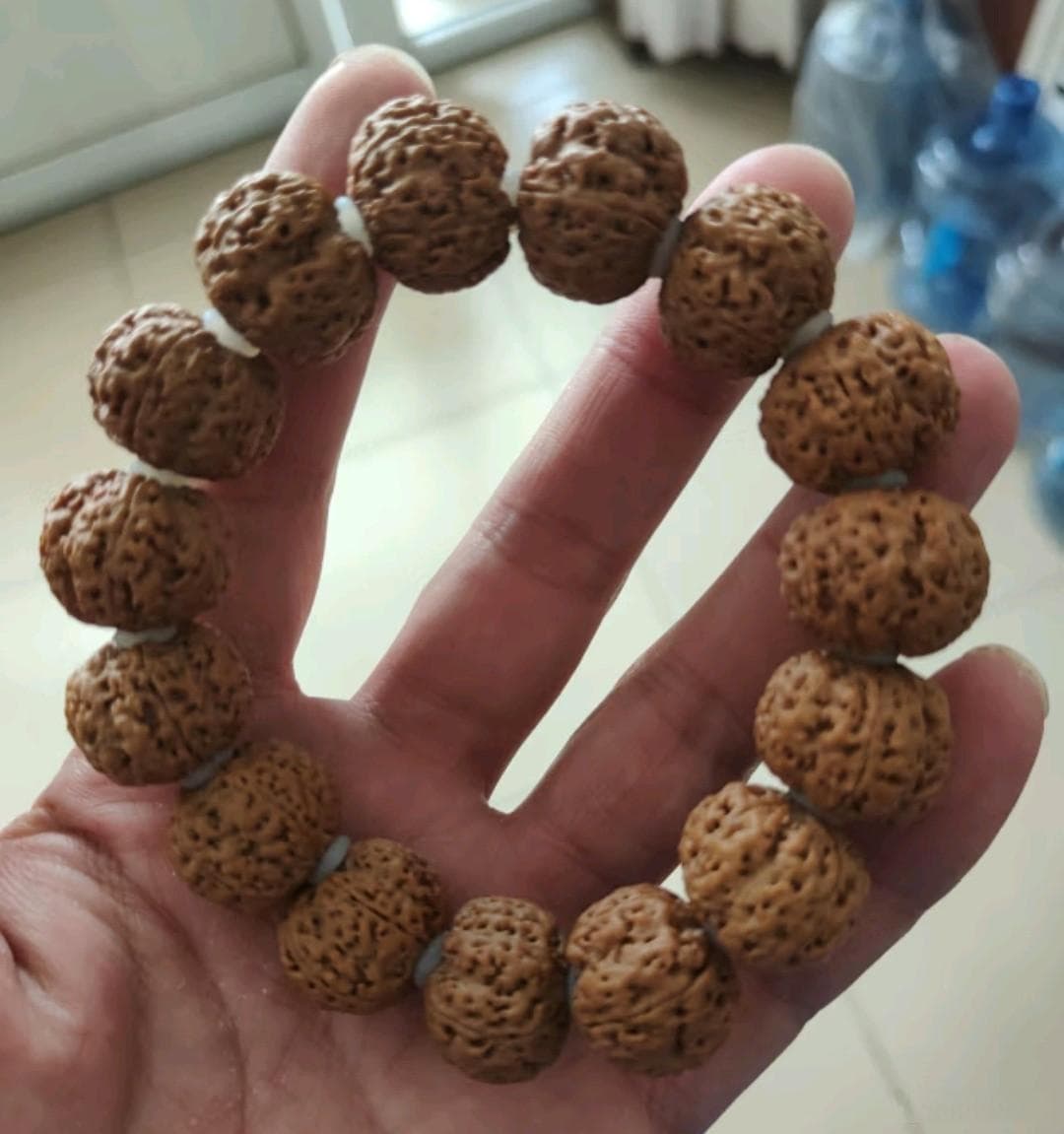 金刚菩提简介与把玩分享！