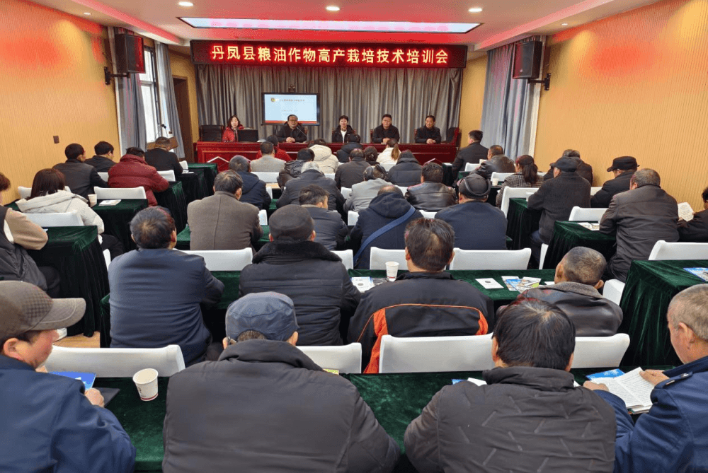 丹凤县：开展农业实用技术培训 助力乡村振兴