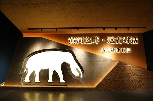 黄河之畔·远古对话古动物化石展：一场穿越时空的生命之旅