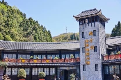 探寻织金洞亿万年的生长轨迹