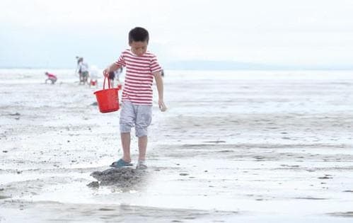 海陵岛赶海全攻略：4大技巧+5处推荐点+安全指南