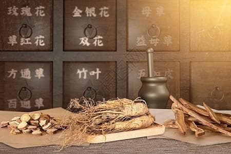 普通人怎样才能更好地学习中医知识？