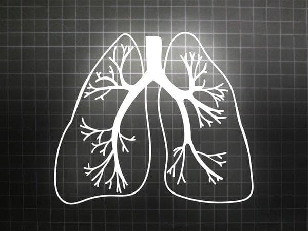肺大疱和肺小疱的区别