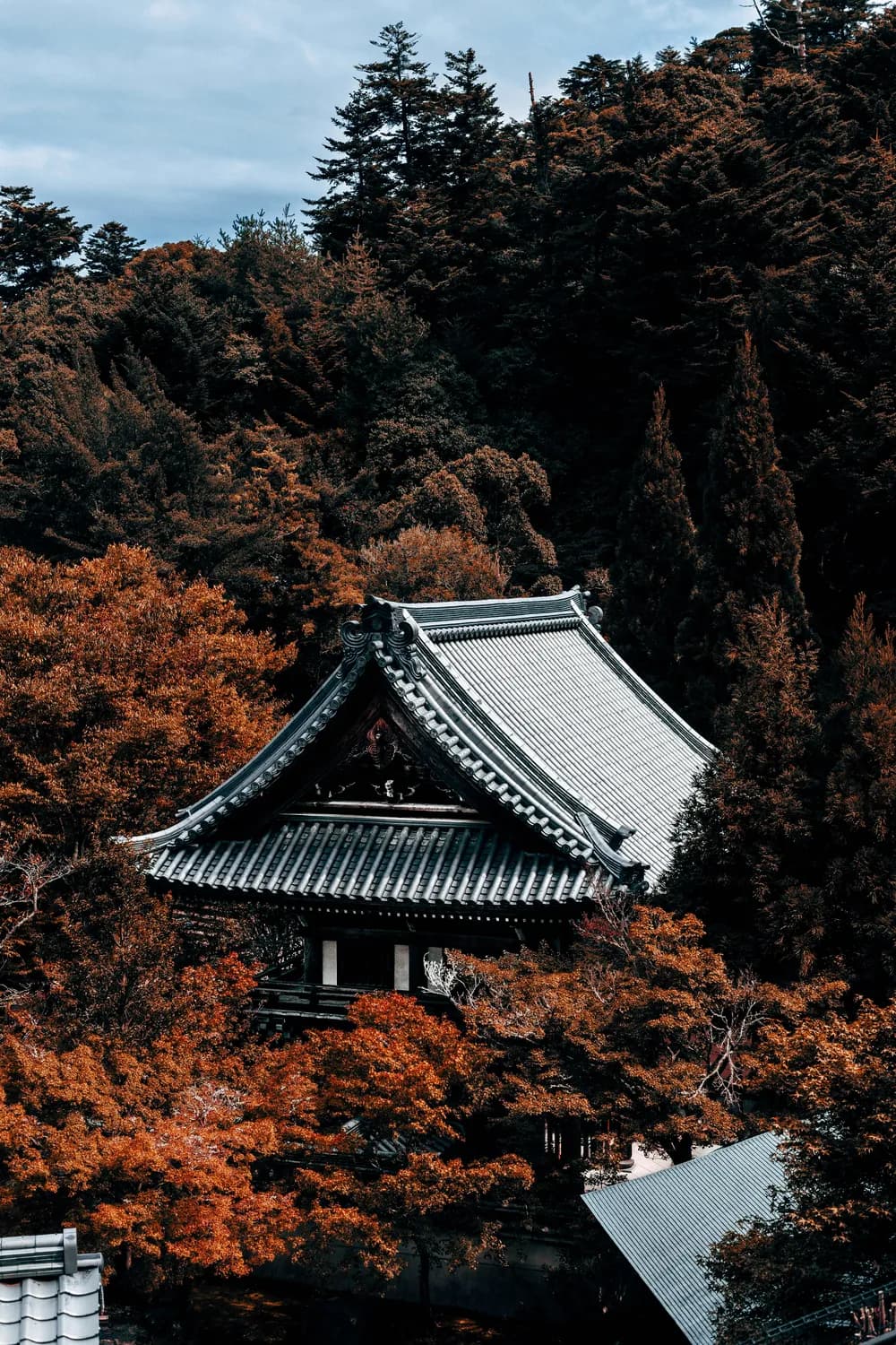 京都秋日摄影指南：拍出朋友圈大片！