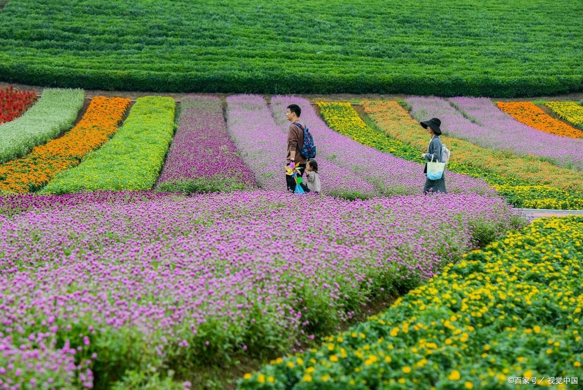南昌凤凰沟五日游：生态农业奇观、四季花海与黄山烧饼的美味邂逅