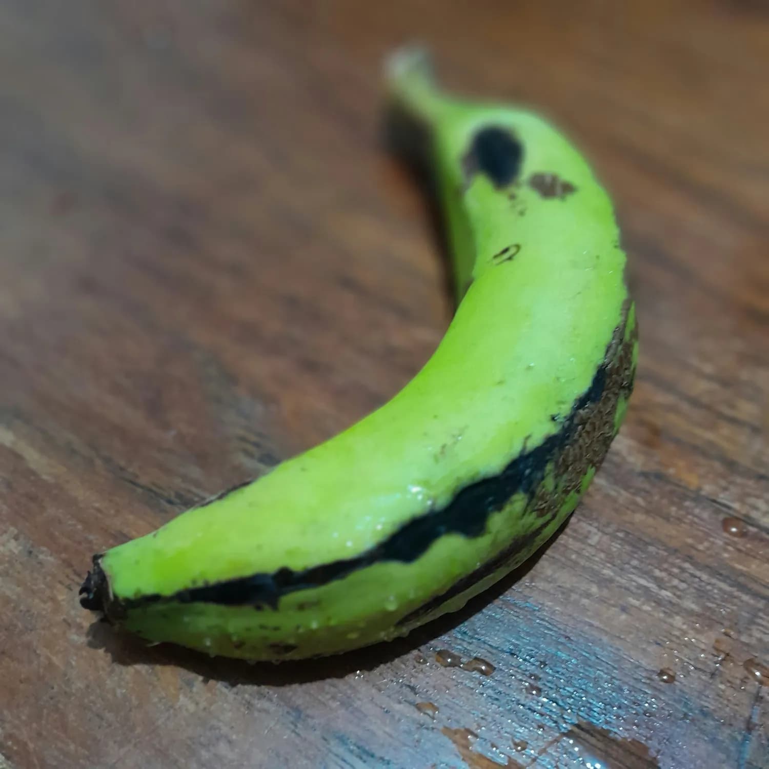 绿色果品：香蕉栽培新趋势