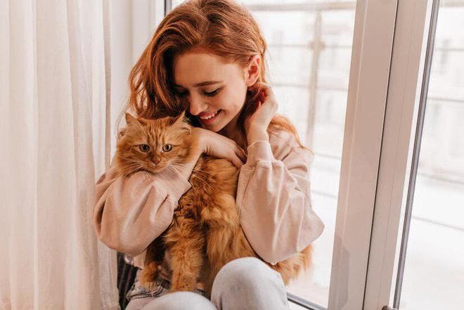 猫咪的魅力：为什么越来越多的人爱上这个毛茸茸的小伙伴