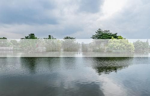 家庭住宅的风水调整：实践与指南