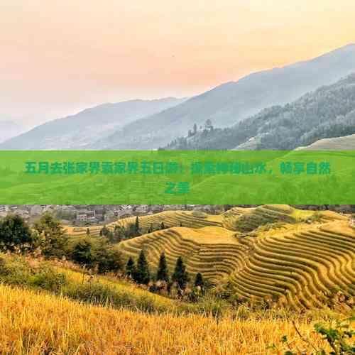 张家界袁家界五日游：从自然奇观到人文魅力的深度体验
