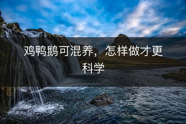 鸡鸭鹅可混养，怎样做才更科学