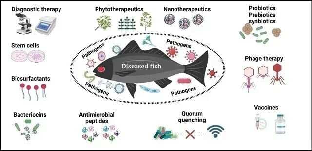 水产养殖疾病治疗迎来新突破：从化学疗法到生物替代疗法