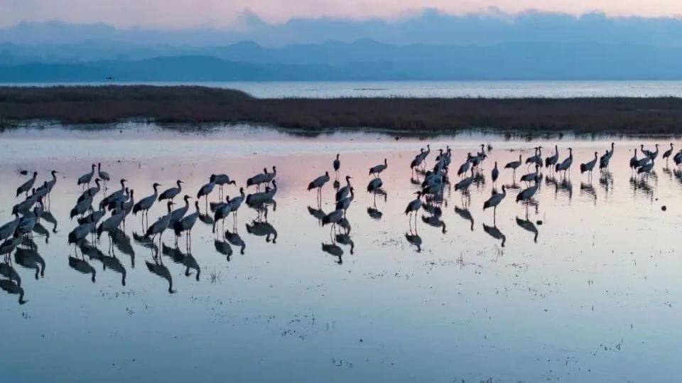 毕节三大生态文化名片：威宁草海、乌江、赤水河