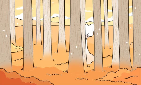 新高考选科指南：化学与生物哪个更难？如何选择？