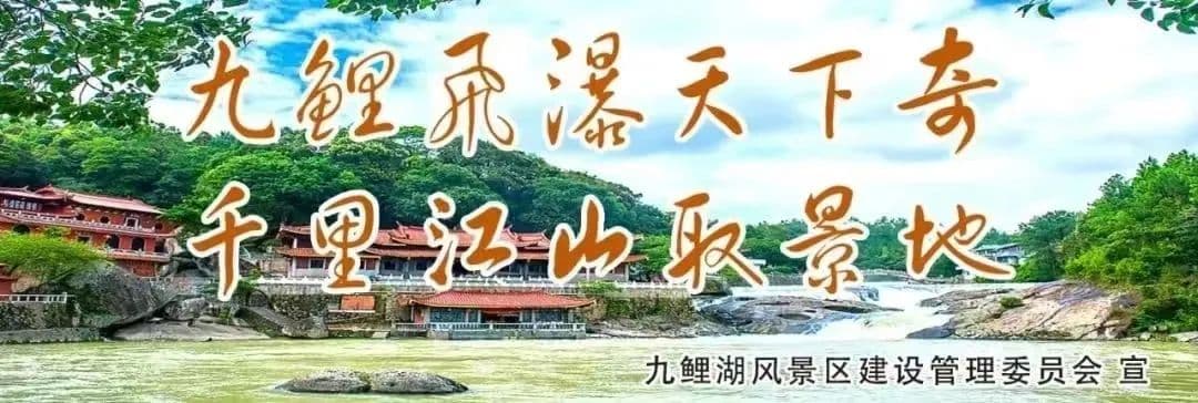 莆田白肉枇杷，枇杷中的珍品