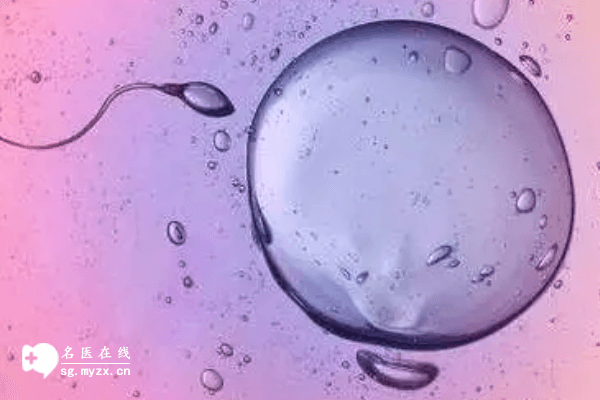 揭秘试管婴儿成功率：妊娠率与活产率的区别与联系