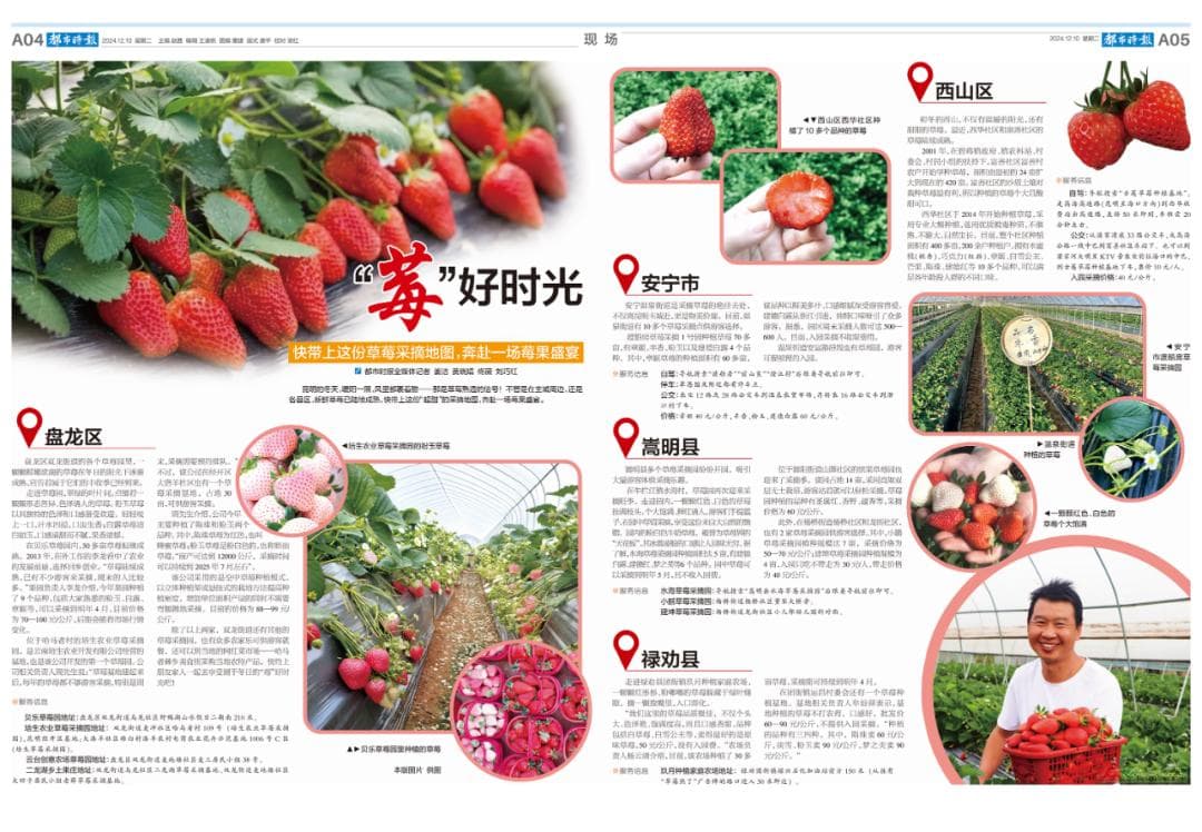 昆明最全草莓采摘地图来了！“莓”好时光，周末出发